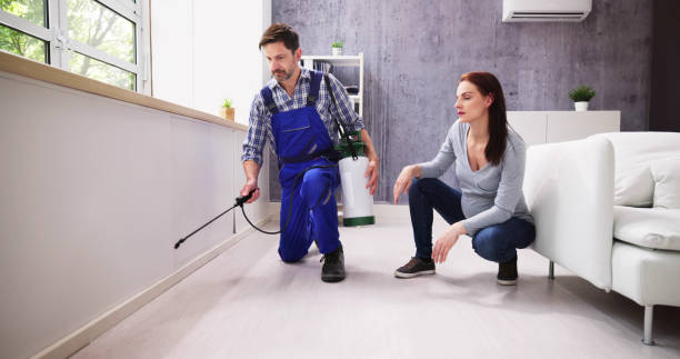 Best Residential Pest Control  in Chantilly, VA